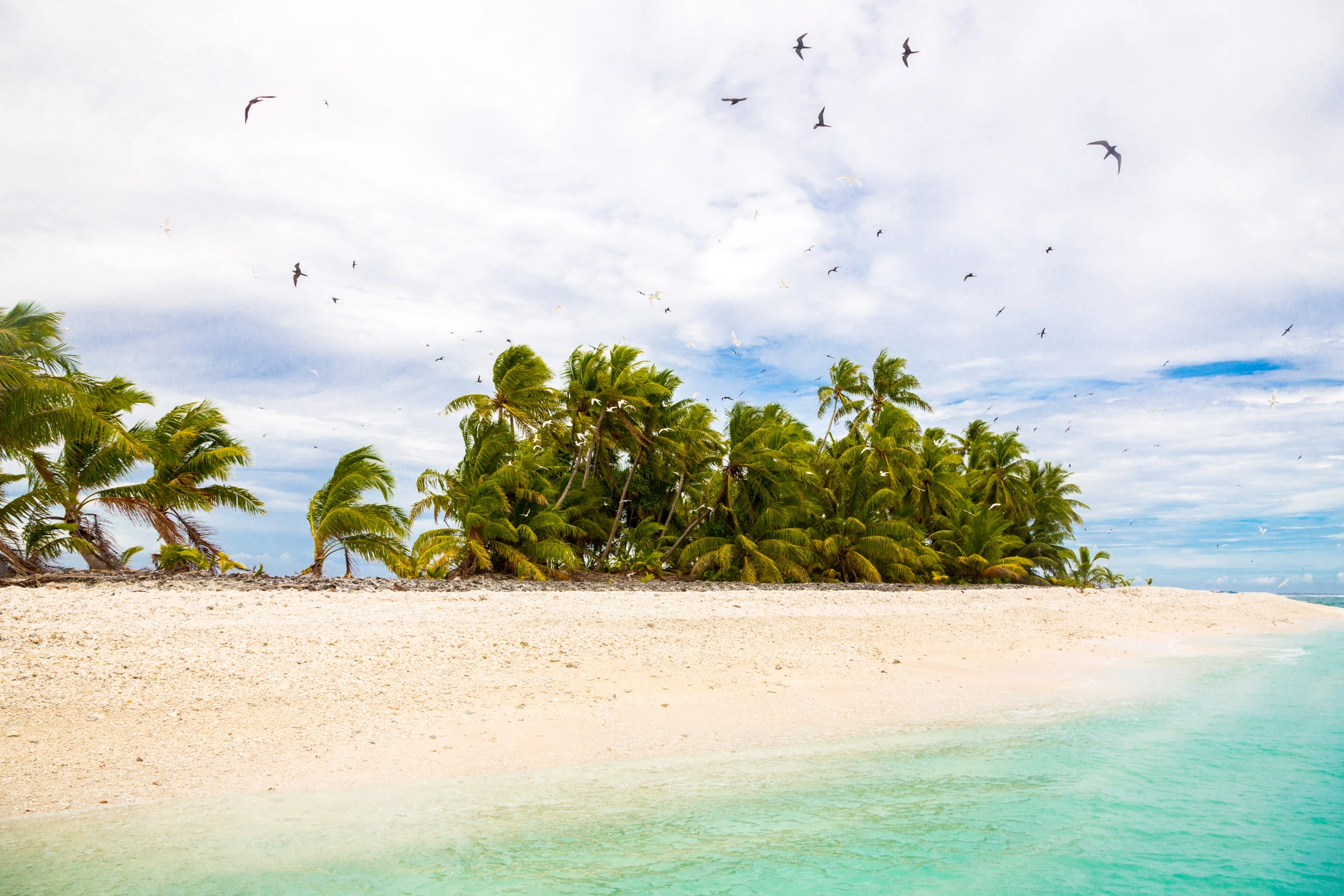 Funafuti[1].webp